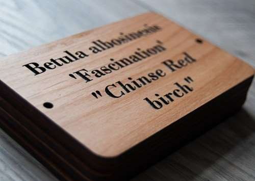 Engraved & Cut Signs