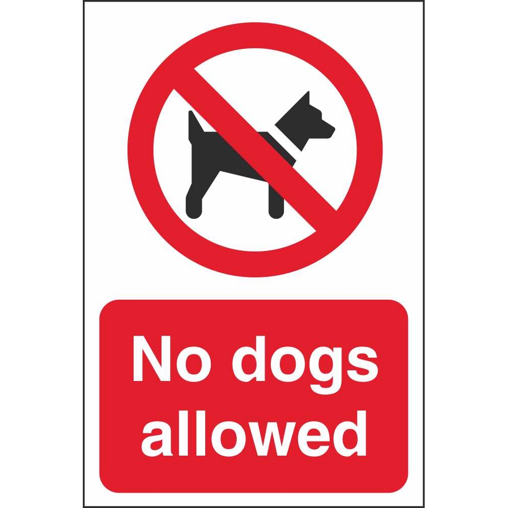 Property is not allowed. Dogs allowed. Allow картинка. Allow перевод. No Dogs allowed.