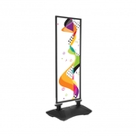 Vision XL Display 